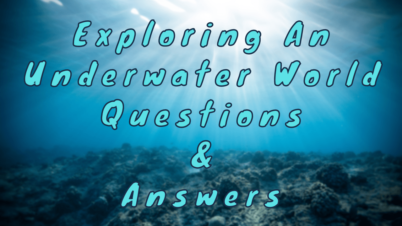 Exploring an Underwater World Questions & Answers WittyChimp