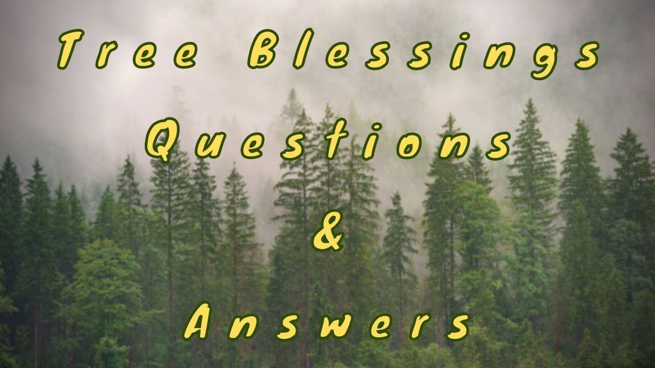 Tree Blessings Questions & Answers WittyChimp