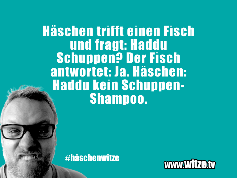 Häschen trifft einen... Kategorie Häschen Witze Witze.tv