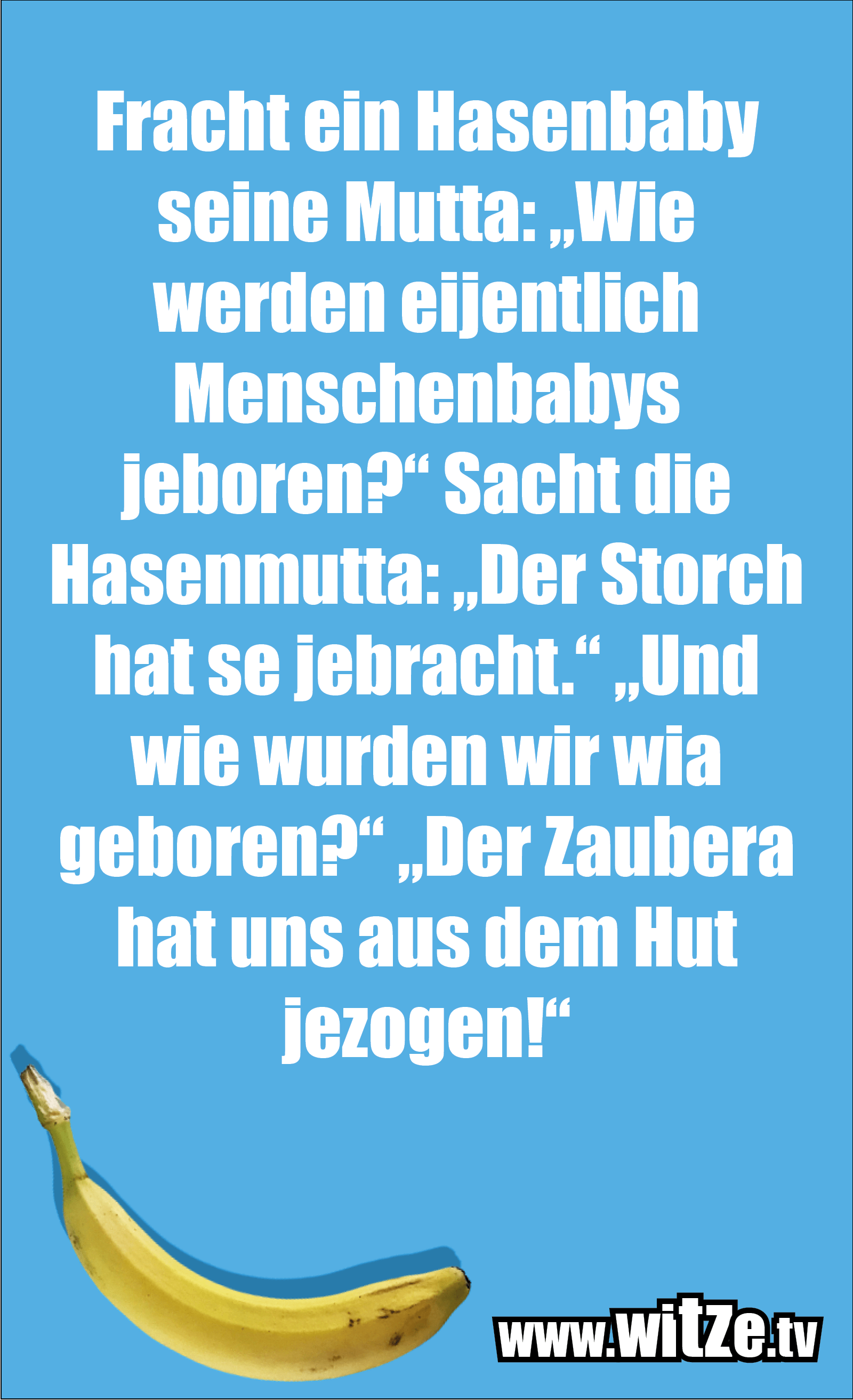Fracht ein Hasenbaby… Kategorie Berlin Witze Witze.tv