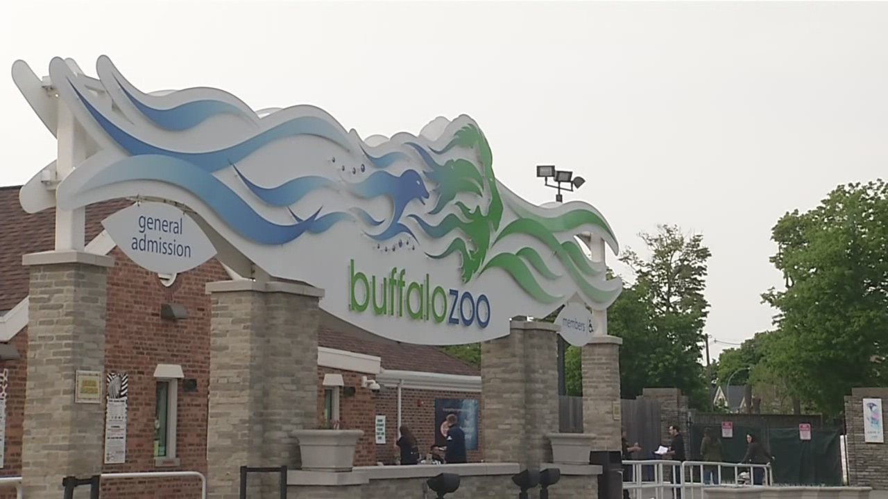 Buffalo Zoo open daily during winter holiday break News 4 Buffalo