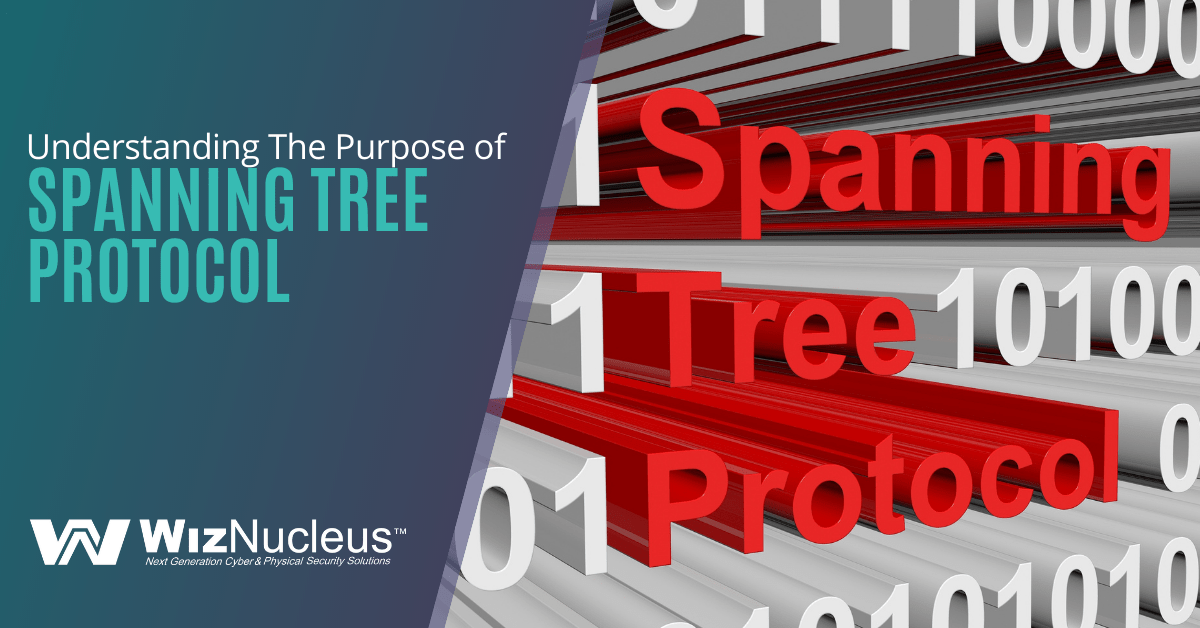 Understanding The Purpose of Spanning Tree Protocol WizNucleus