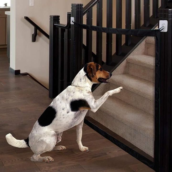 ATTACHABLE PET SAFE GATE Buy Online 75 Off Wizzgoo Store