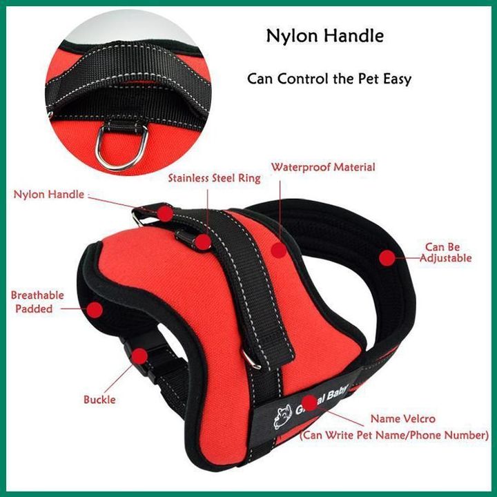 Safety Dog Body Harness Buy Online 75 Off Wizzgoo Store