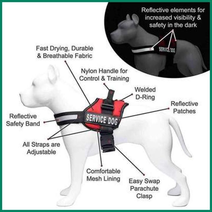 Safety Dog Body Harness Buy Online 75 Off Wizzgoo Store
