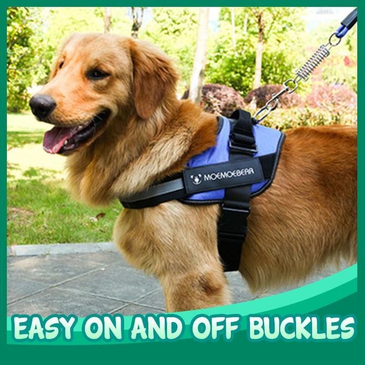 Safety Dog Body Harness Buy Online 75 Off Wizzgoo Store