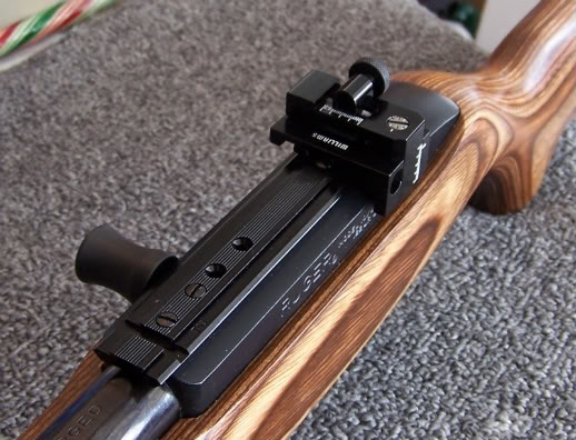 Ruger 10/22 Peep Sight Roundup Garp