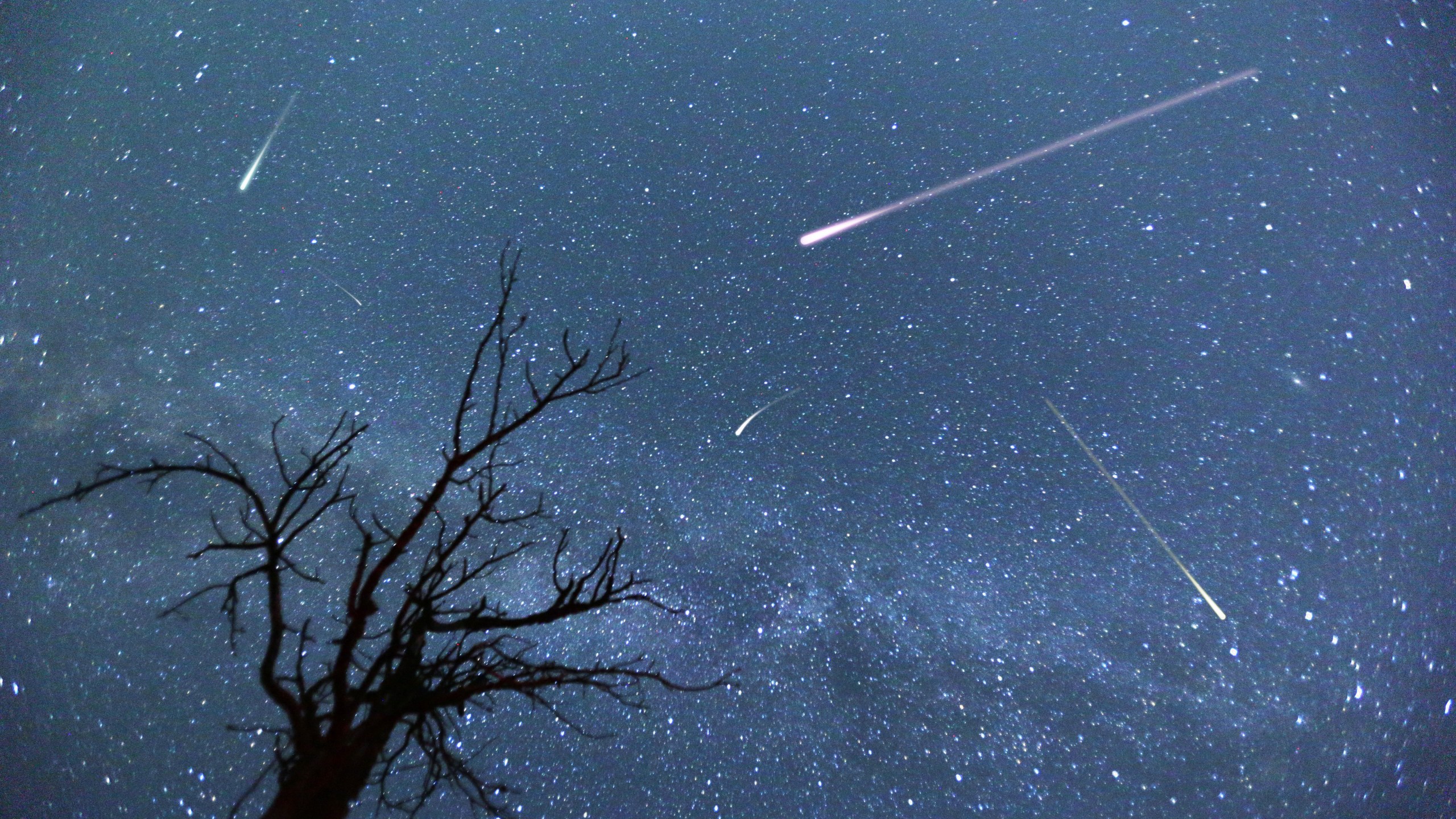 Meteor shower 2022 September and October. The Orionid meteor shower.