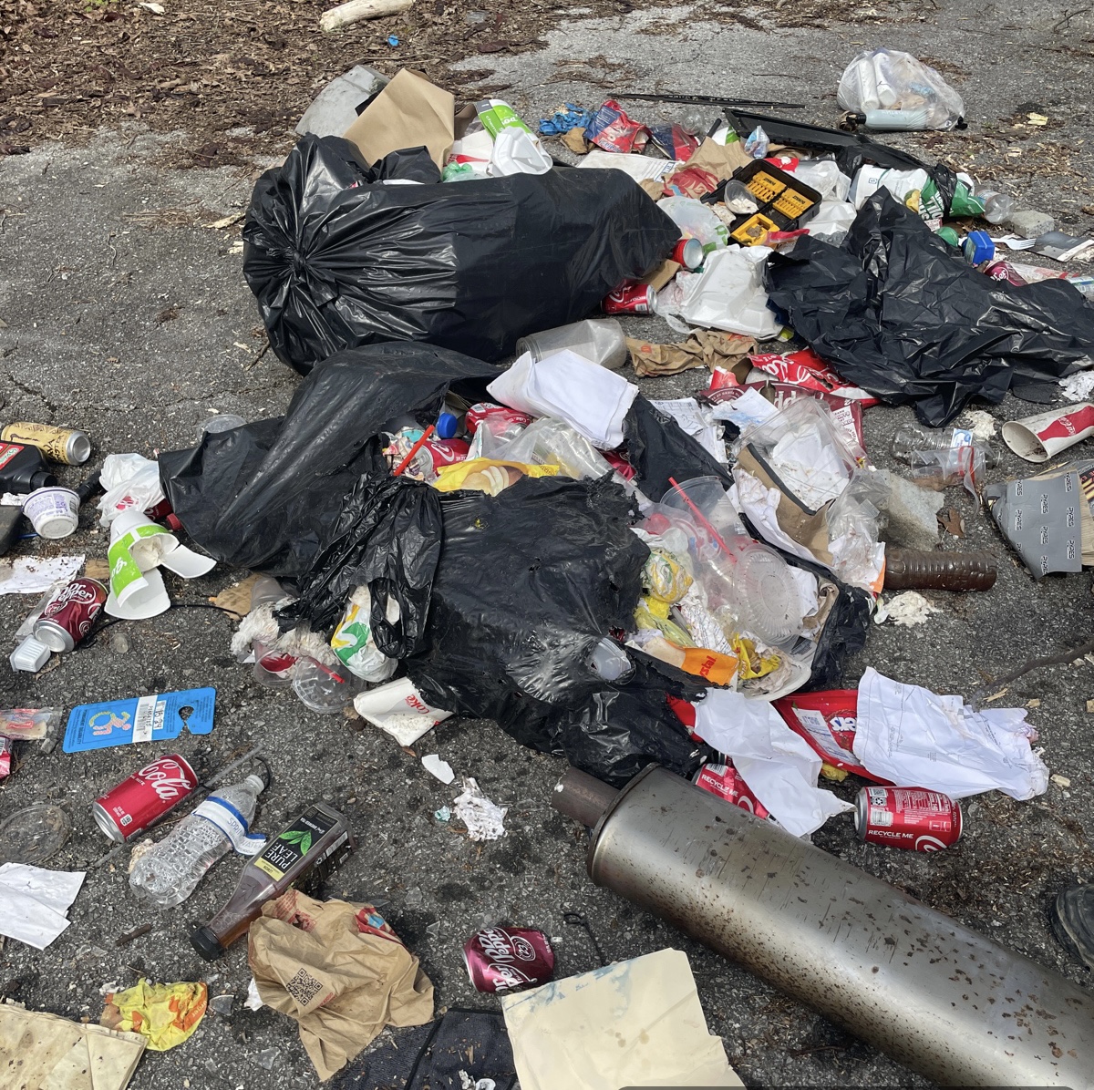 Man convicted of aggravated criminal littering, says TWRA