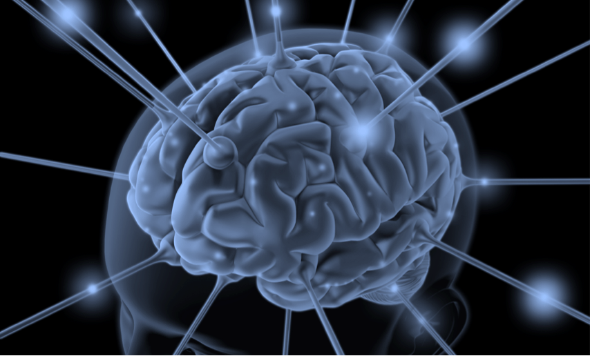 Main Page CBNL Research Psychological Sciences WKU Western Kentucky University