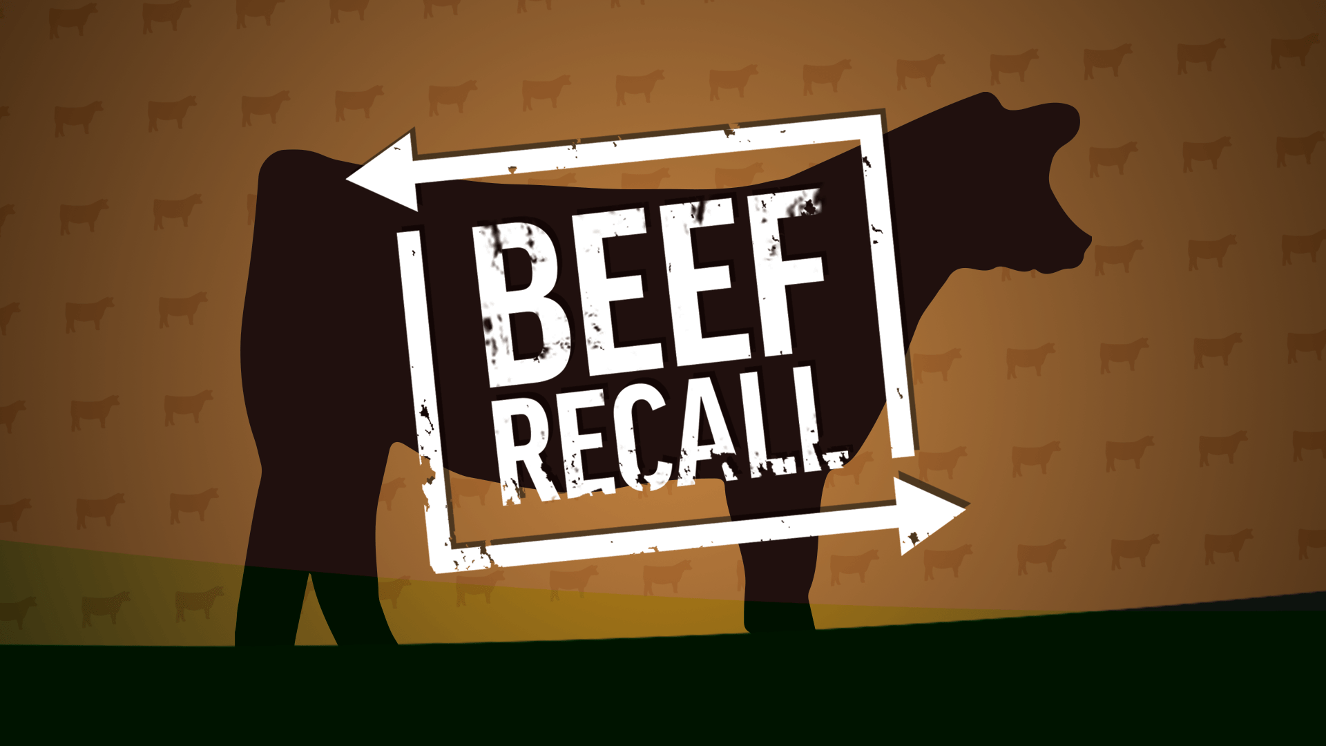 Beef Recall April 2024 Pdf Melli Sylvia