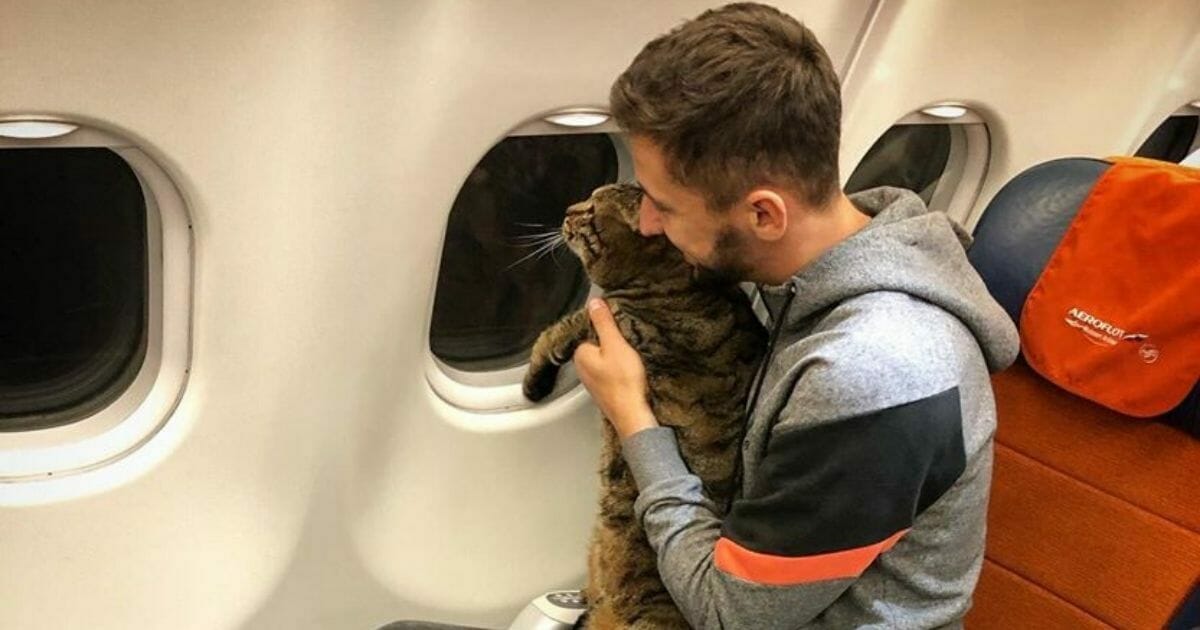 Man uses feline body double to sneak cat too fat for flight onto plane