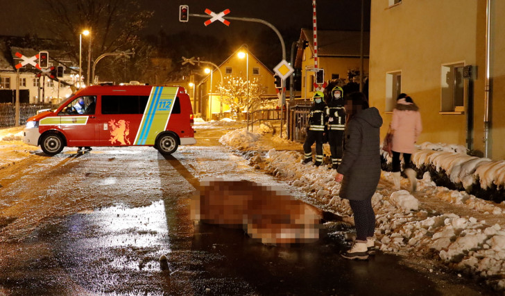 Pferd schwer verletzt auf Straße gefunden WochenENDspiegel