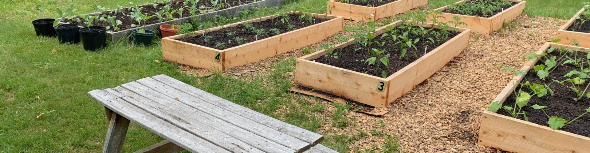 Wolcott, VT Our Community