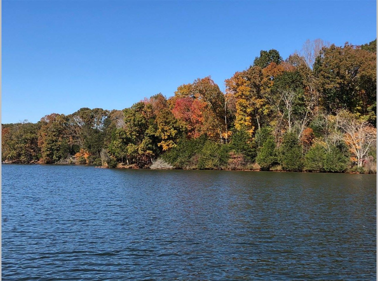 SOLD Smith Mountain Lake Waterfront Estate and Land Auction Woltz