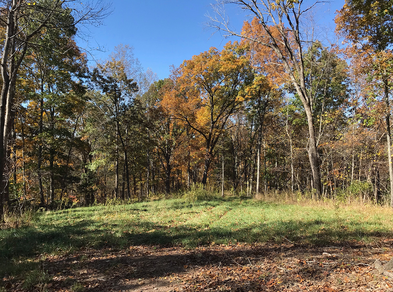 SOLD For Sale 41.15 Acres Privacy, Mountain Views, Adjoins
