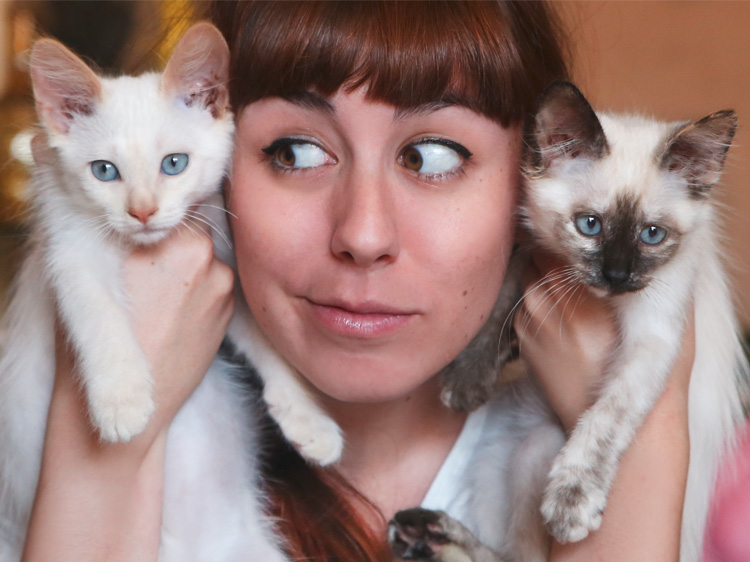 15 Things That Happen After Getting a Second Cat