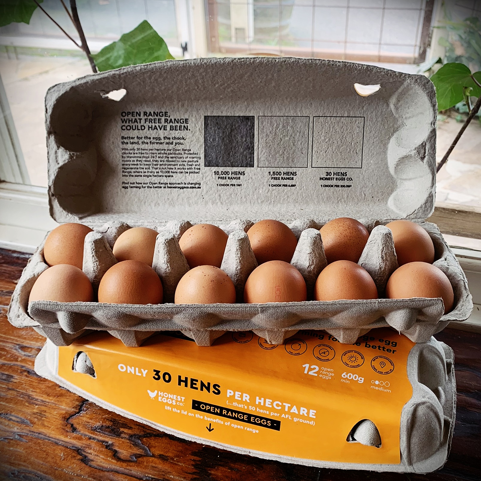Honest Eggs Co. 700g Dozen Wombat Hill House
