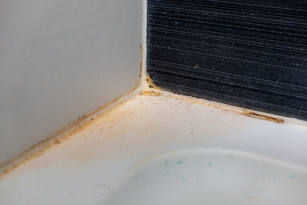 How to Remove Mold from Caulk Women's Alphabet