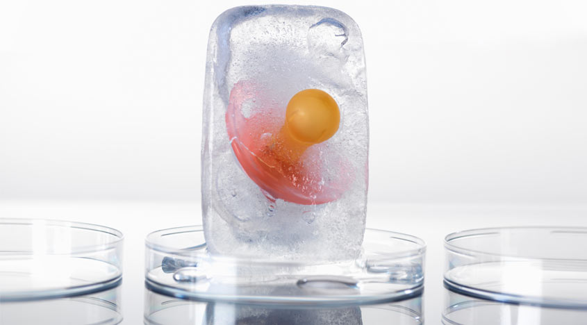 Why Women Freeze Their Eggs Should you Wait on Mr. Right?