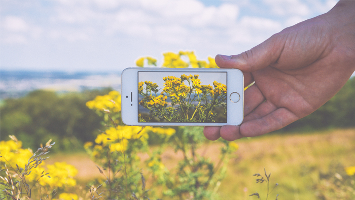 This App is Basically 'Shazam' for Plants! WomenStuff