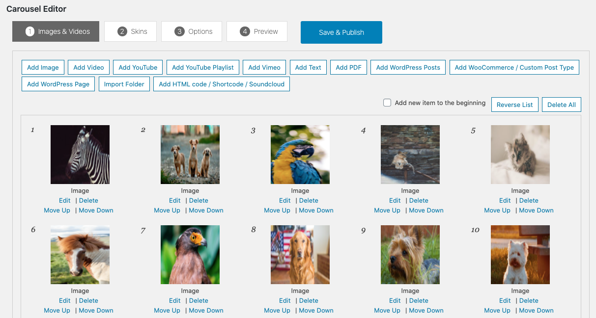 Wonder Carousel Quick Start Tutorial WordPress Plugin