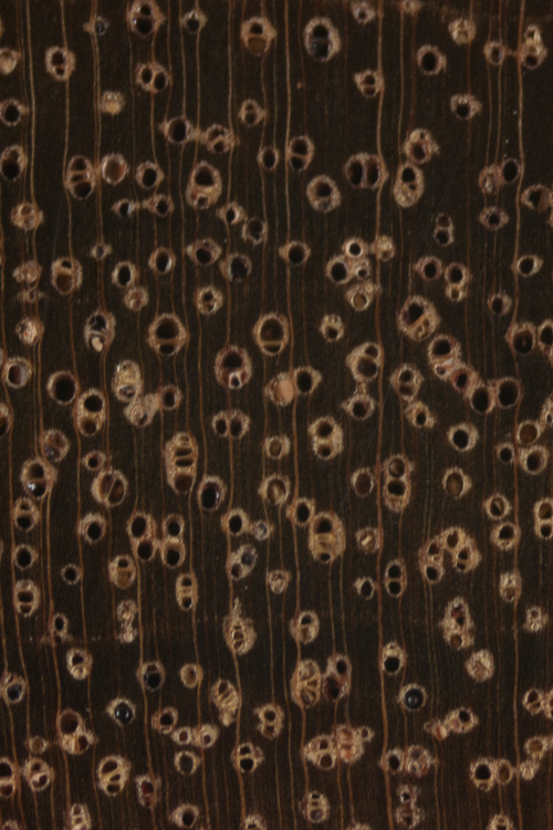 Lightwood The Wood Database (Hardwood)