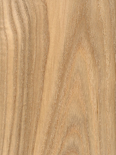 Black Ash | The Wood Database (Hardwood)