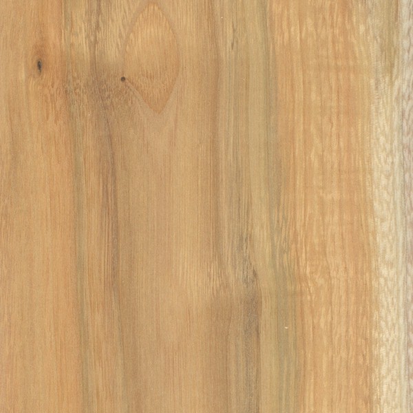 Buckthorn The Wood Database (Hardwood)