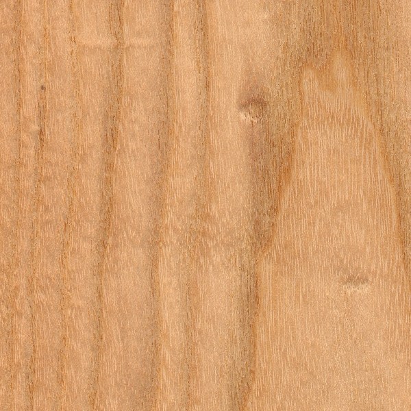 Kentucky Coffeetree The Wood Database (Hardwood)