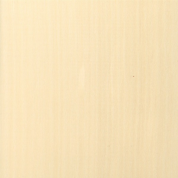 Holly The Wood Database Lumber Identification (Hardwood)