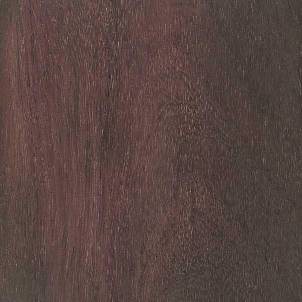 Top Ten Hardest Woods The Wood Database