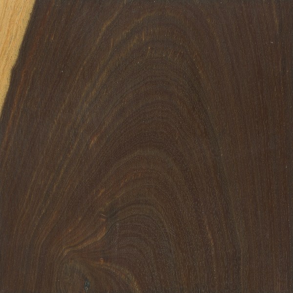 Lignum Vitae The Wood Database Lumber Identification (Hardwood)