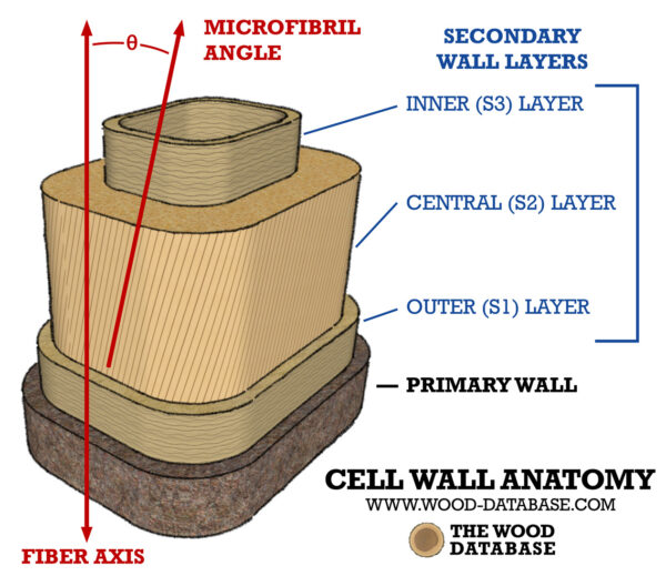 Bow Woods The Wood Database