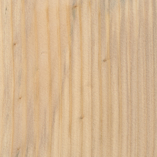 Monkey Puzzle The Wood Database Lumber Identification