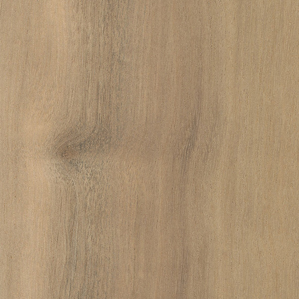 Myrtle The Wood Database Lumber Identification (Hardwood)