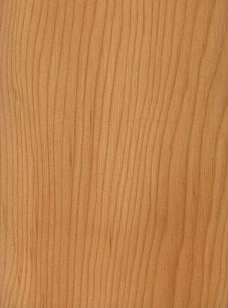 Pacific Yew | The Wood Database (Softwood)
