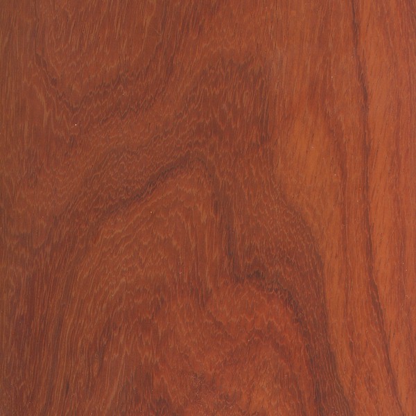 African Padauk The Wood Database Lumber Identification (Hardwood)