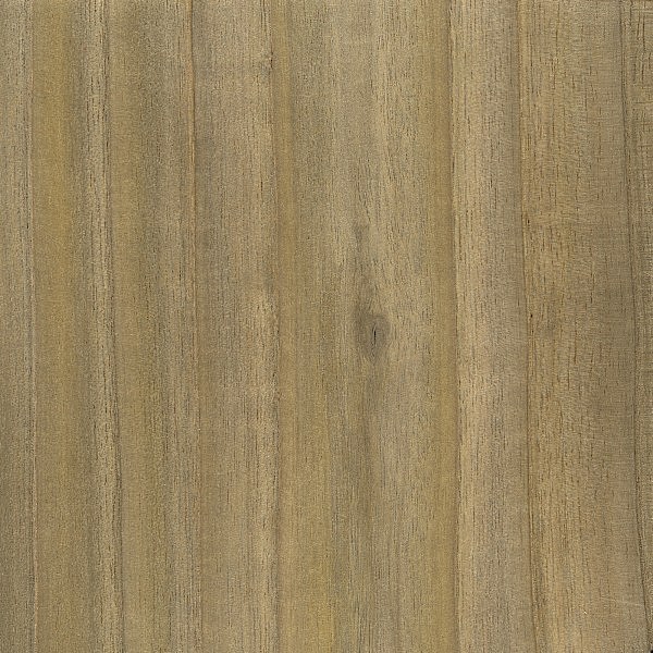 Sumac The Wood Database (Hardwood)