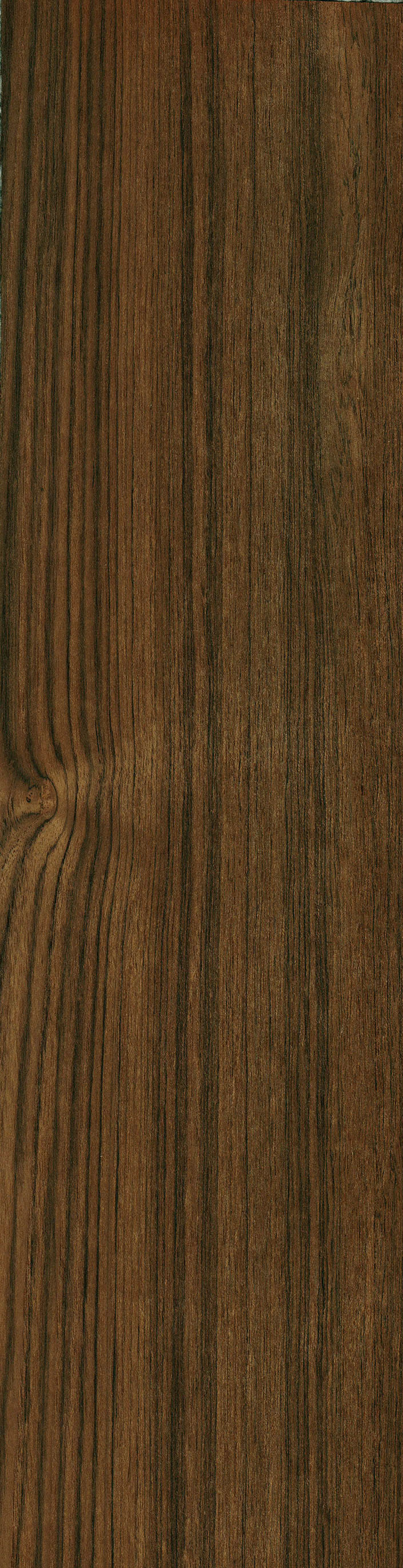 Teak The Wood Database Lumber Identification (Hardwood)