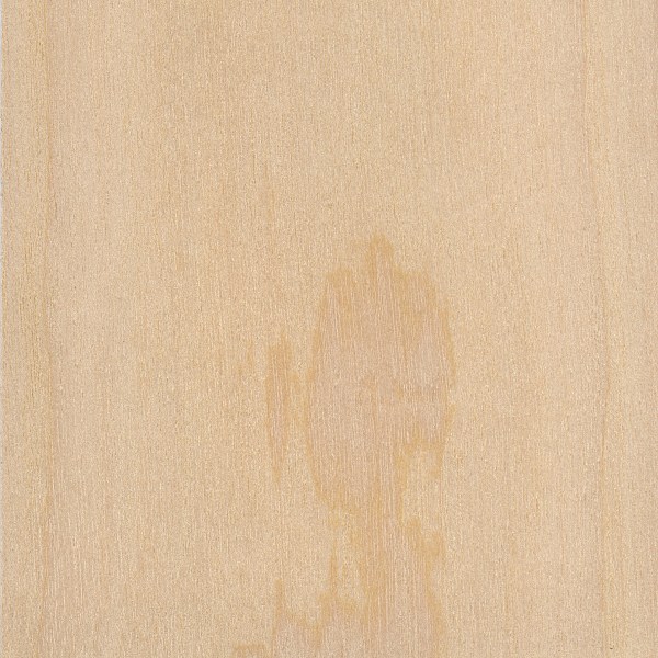 Western White Pine | The Wood Database - Lumber Identification (Softwood)