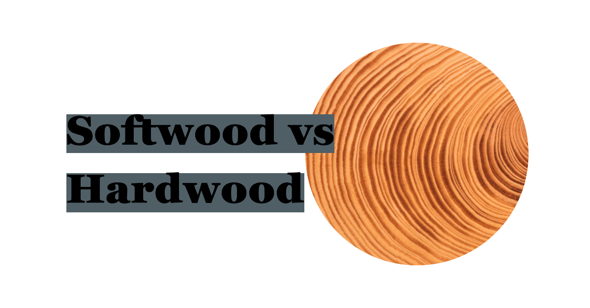 The Difference Between Softwood And Hardwood Wood and Beyond Blog