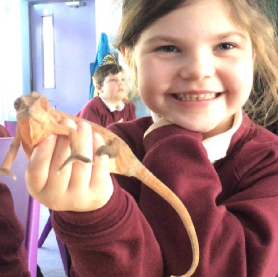 Woodford Primary School Science Week