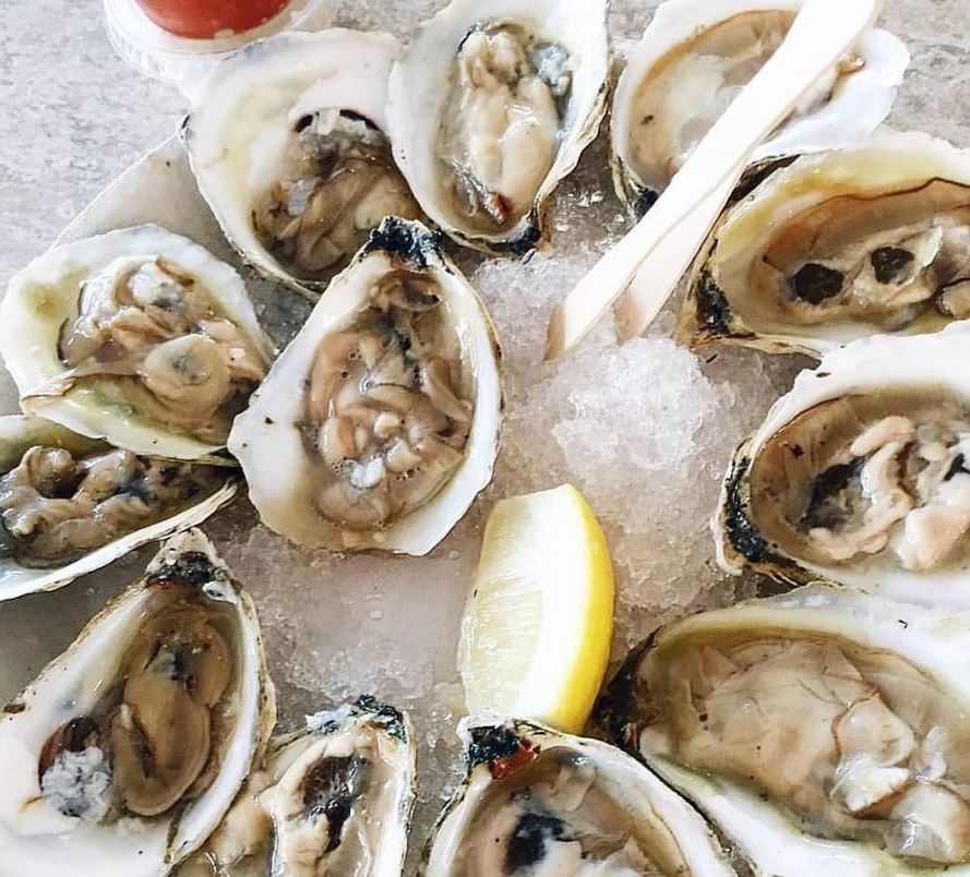 List 90+ Pictures Pictures Of Raw Oysters Sharp