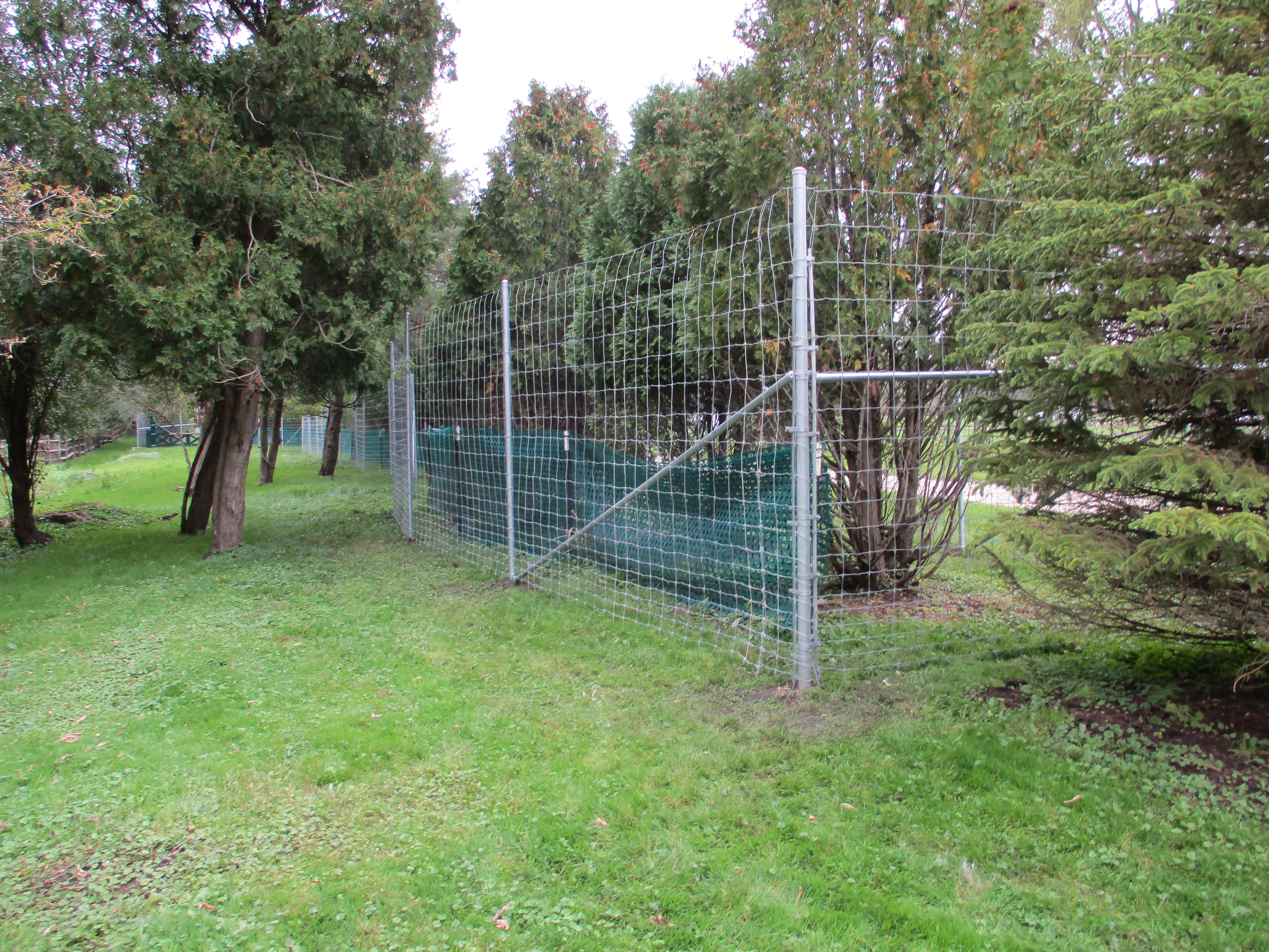 Wood Corral Fencing