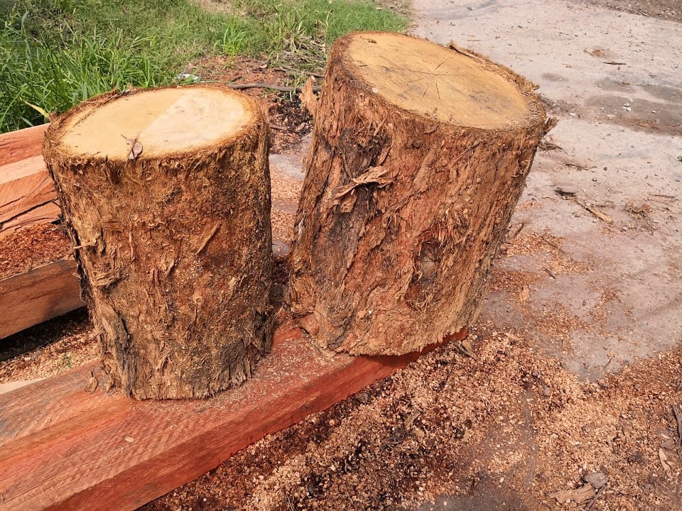tree stumps for sale perth Blythe Murdock