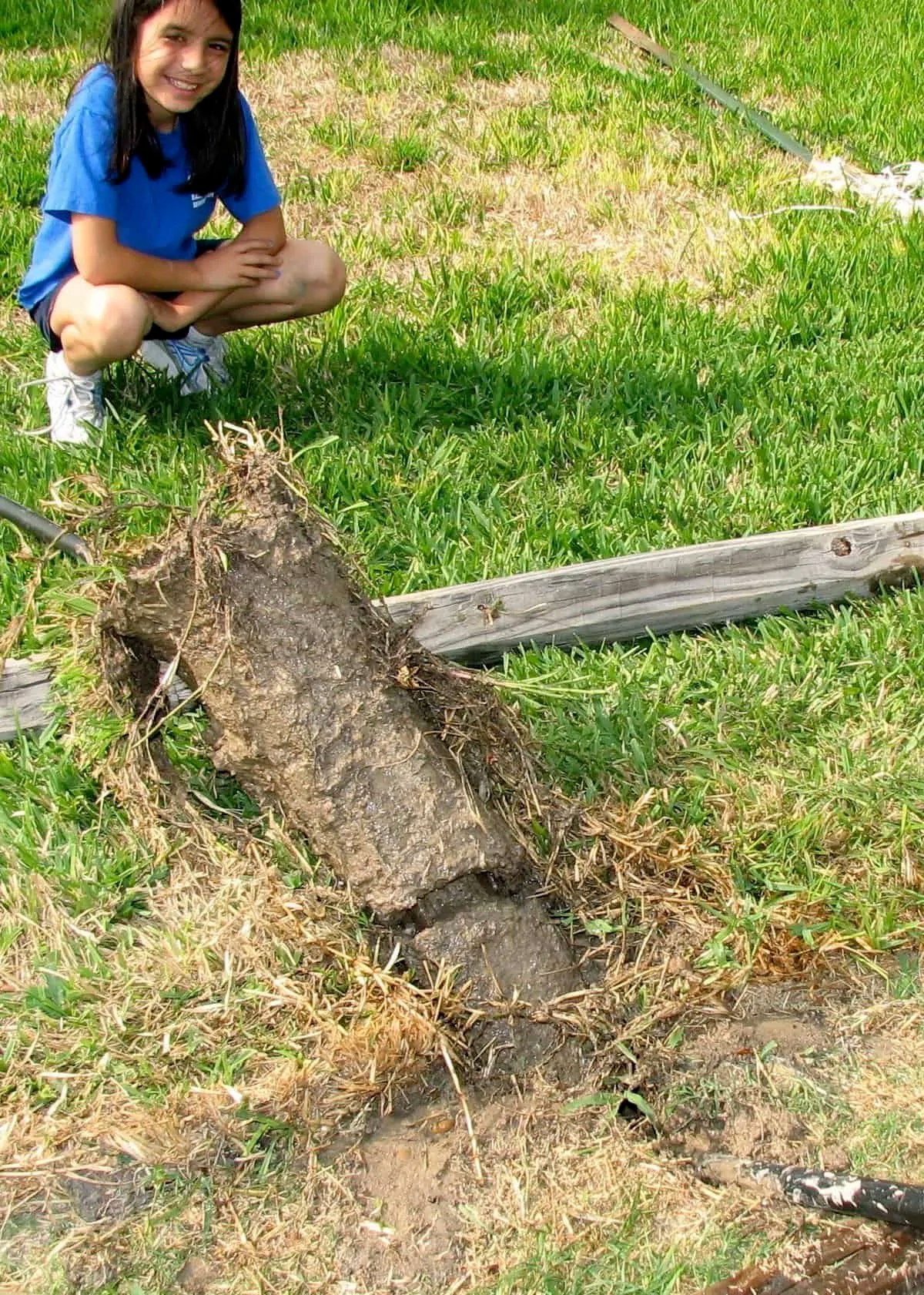 How to Remove a 4x4 Fence Post that is Snapped Off at Ground Level