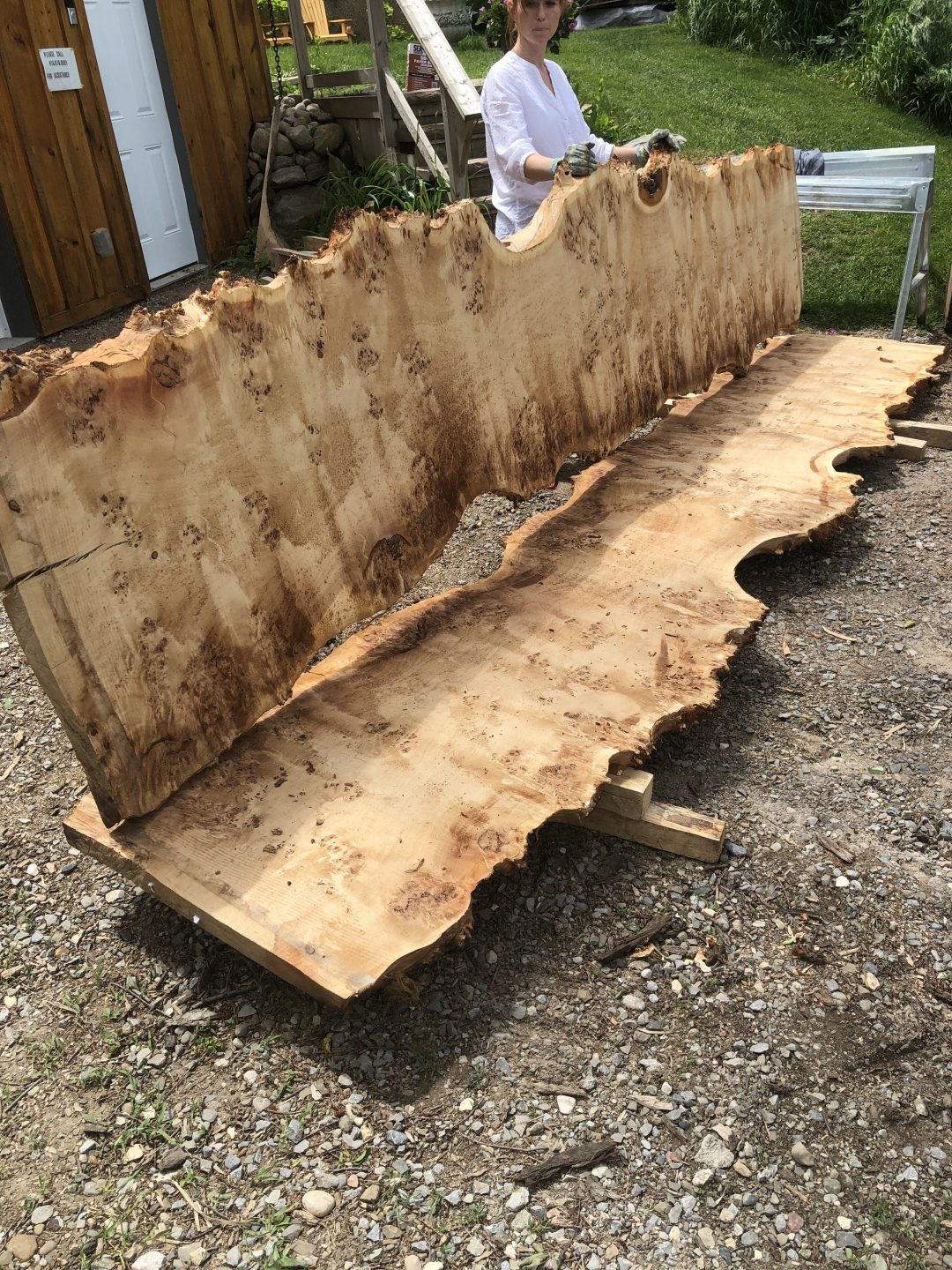 Shop Live Edge Mappa Burl Slabs Wood Slabs Toronto