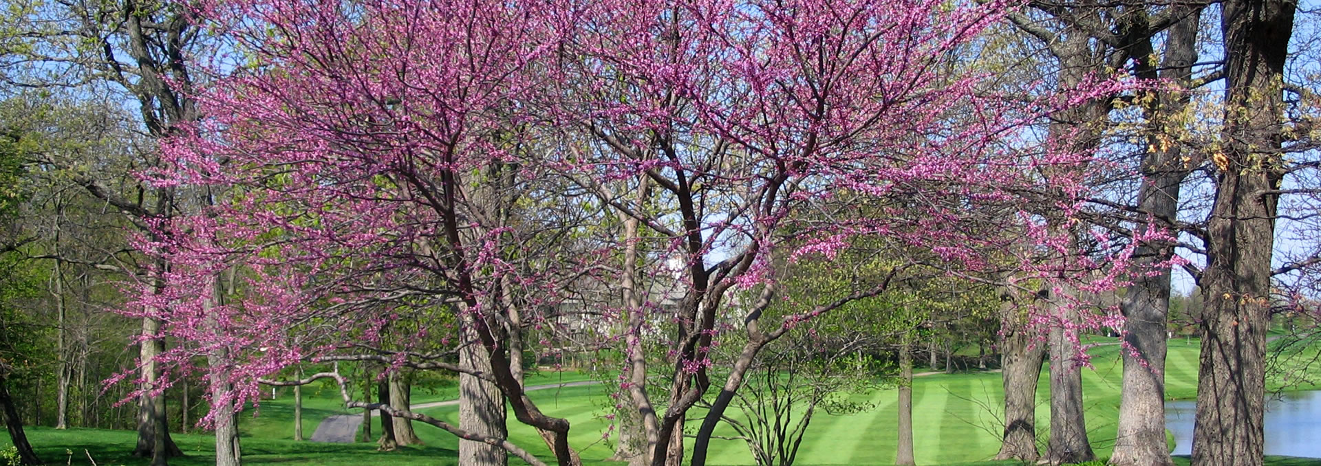 Woods of Ivanhoe. A residential community in Ivanhoe, Illinois