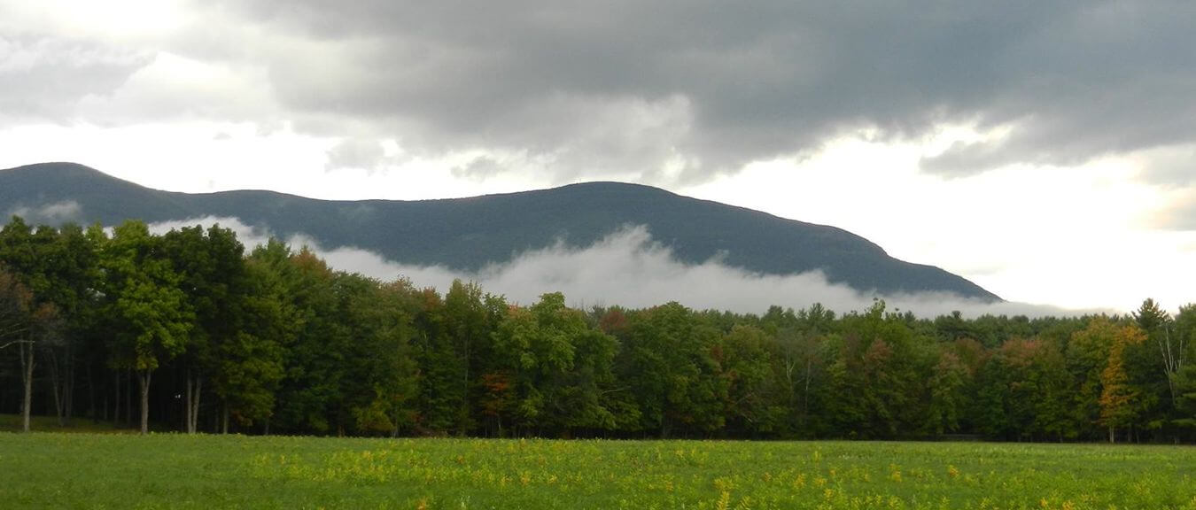 CONTACT US Woodstock Land Conservancy